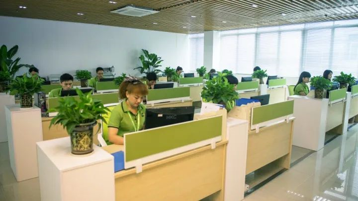 草莓视频在线免费下载業務,檔案調閱,檔案配送